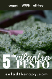 Oil-Free Vegan Cilantro Pesto