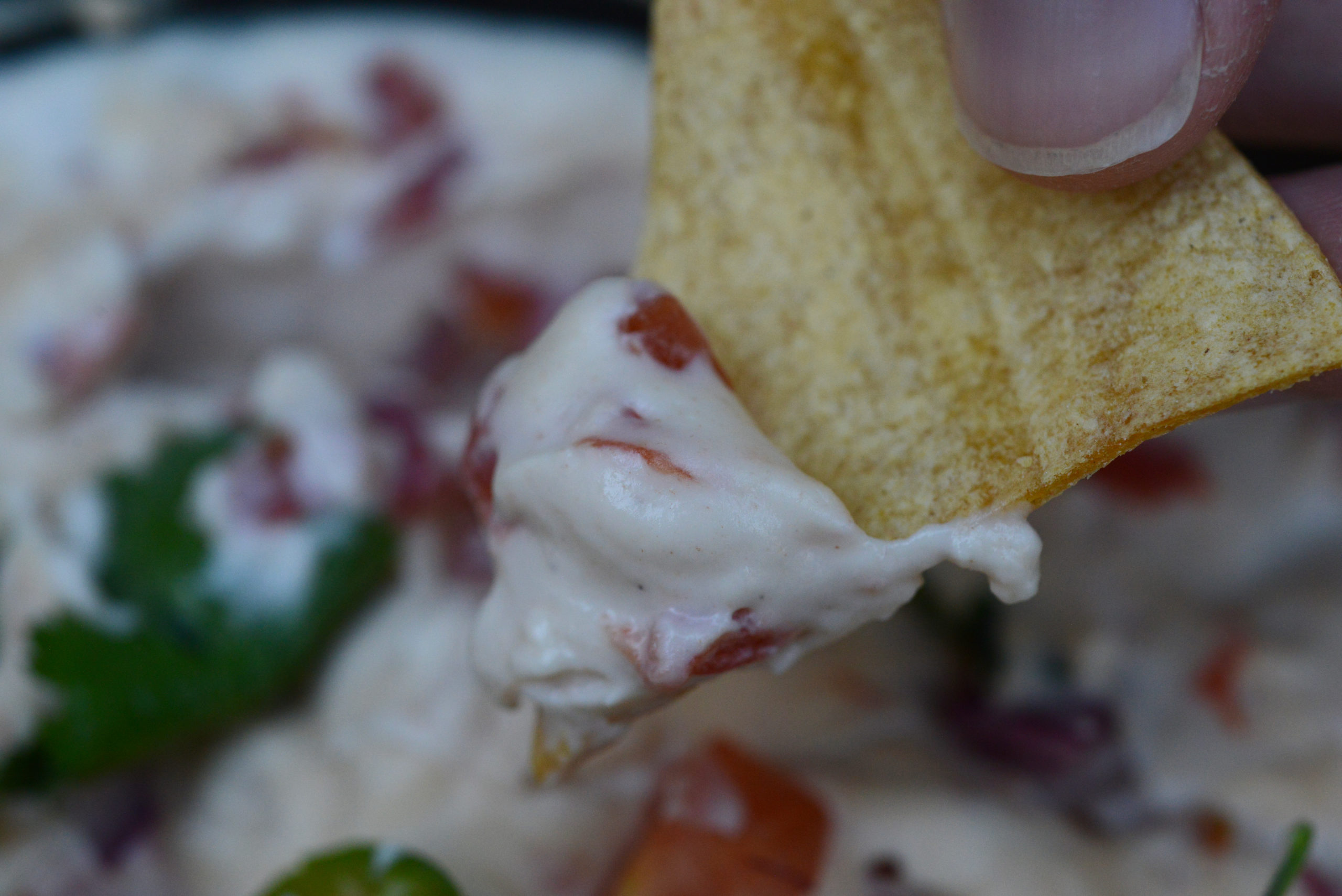 close up of chip dipped into queso dip