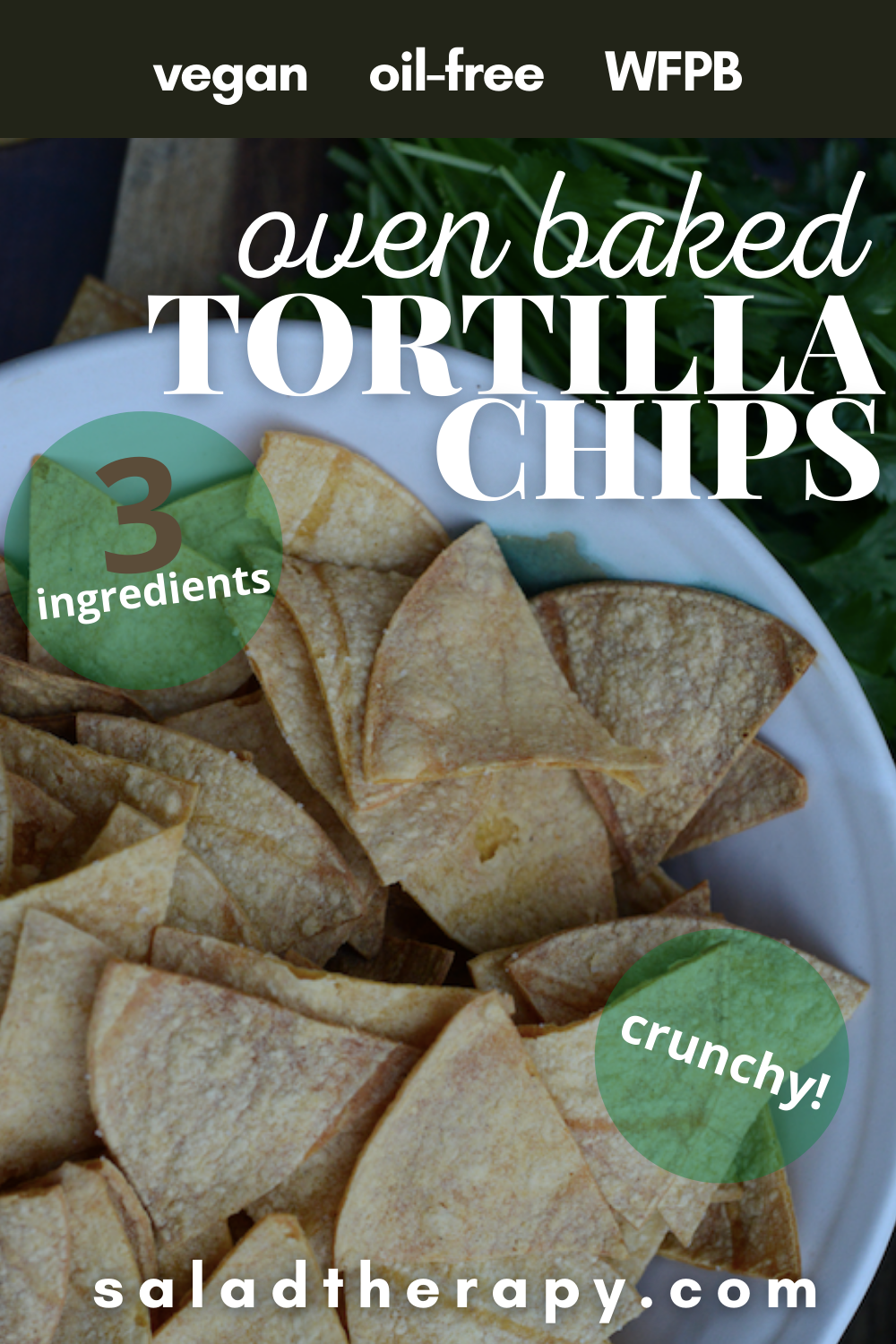 pinterest image of tortilla chips in bowl with text overlay